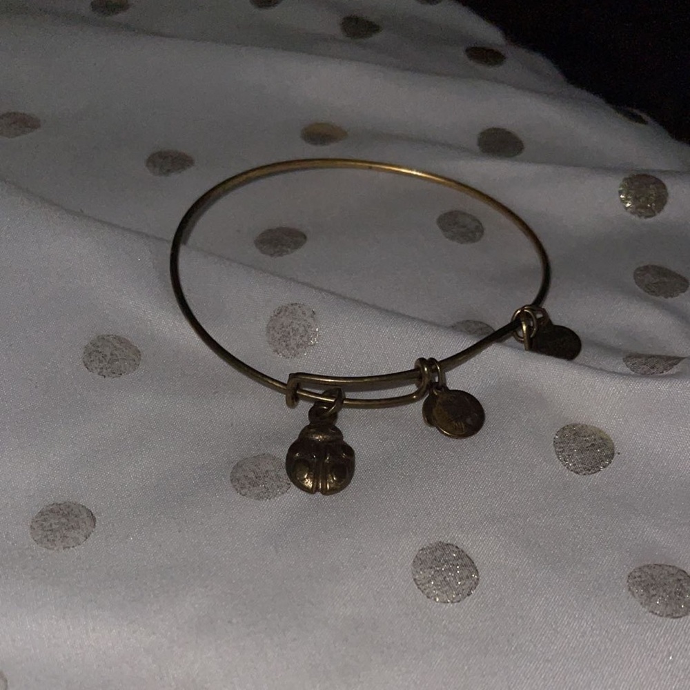 Lady bug Alex and ani